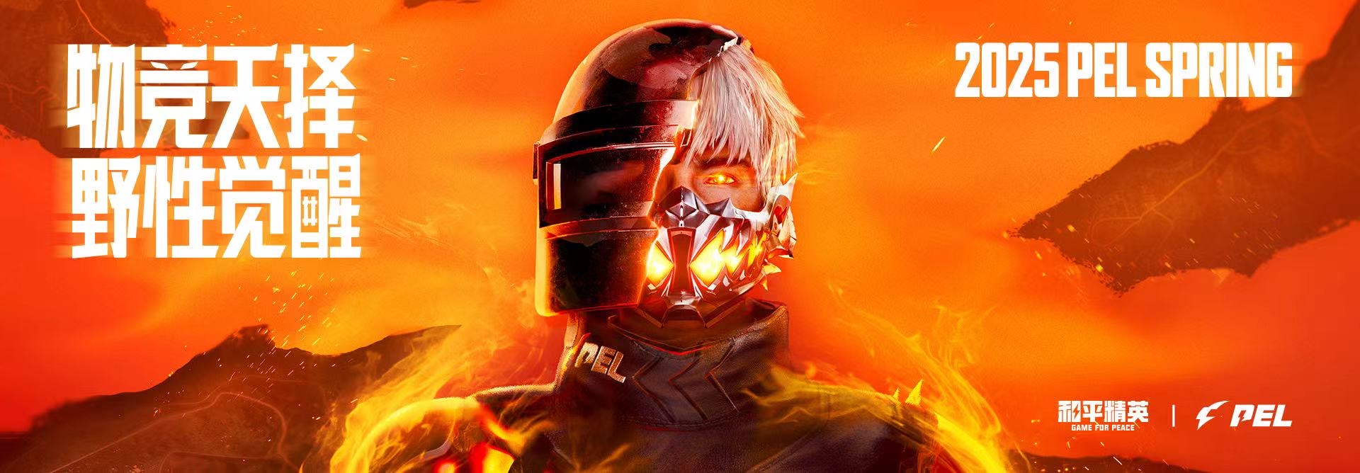 和平精英《太极》辅助